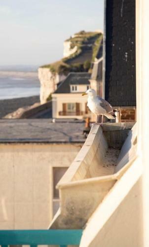 Apartamento Le Courlis Vue Panoramique Sur La Mer, Balcons