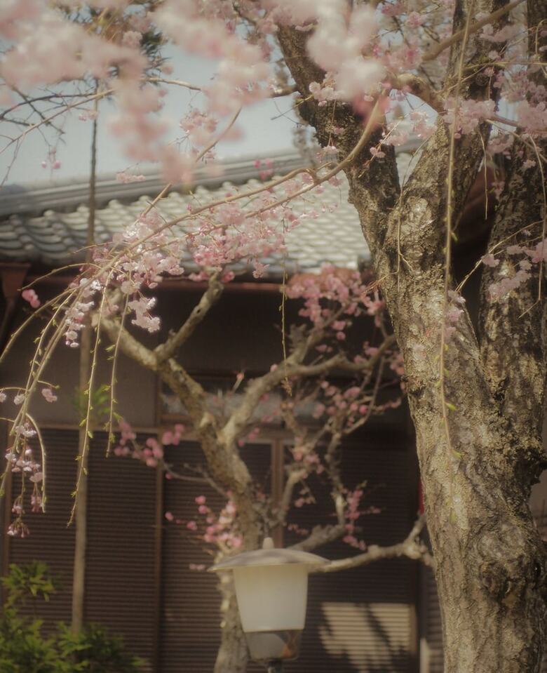 Hotel Bishamon House