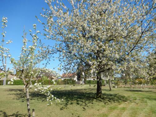 Bed & Breakfast Chambres D'h�tes - Domaine Des Perri�res