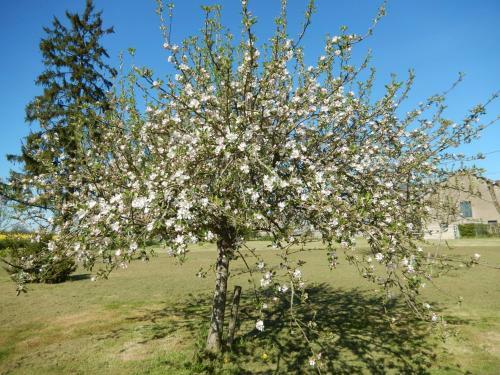 Bed & Breakfast Chambres D'h�tes - Domaine Des Perri�res