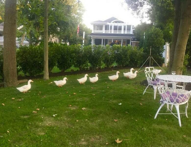 Bed & Breakfast Walden Inn And Suites