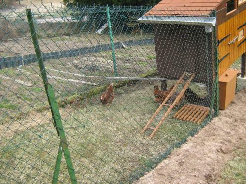 Hostal Chalet G�rardmer Situ� A Le Tholy