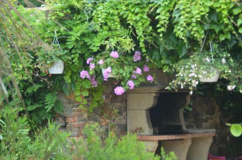 Bed & Breakfast Chambres D'h�tes La Forterie