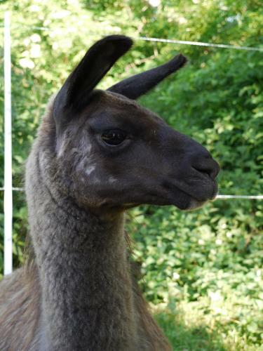 Bed & Breakfast Chambre D'h�tes Etretat