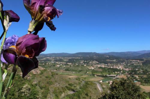 Gites Mas De La Bastide