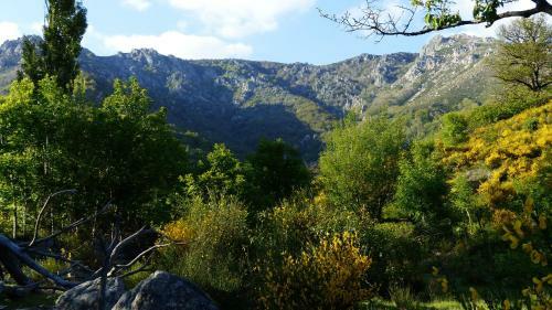 Gites Mas De La Bastide