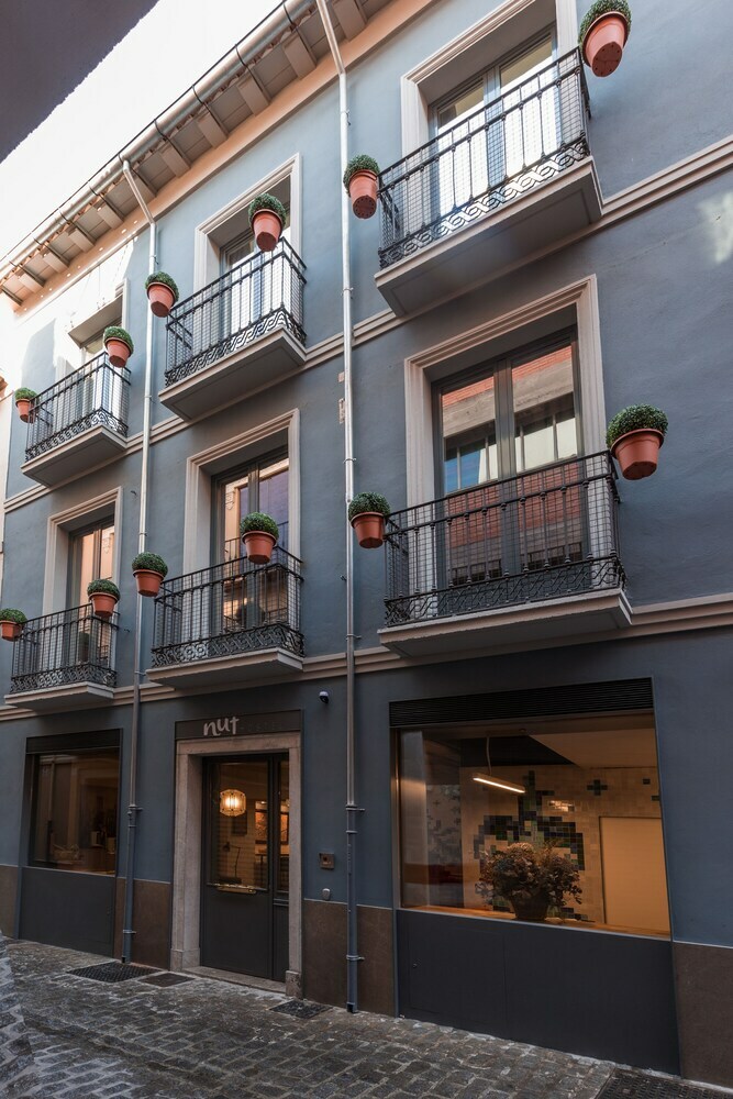 Hostal Hostel Nut