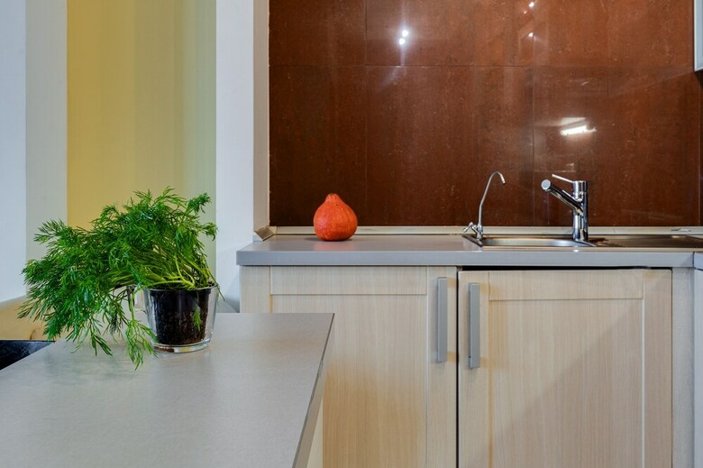 Apartamentos Rentalspb On Kirochnaya