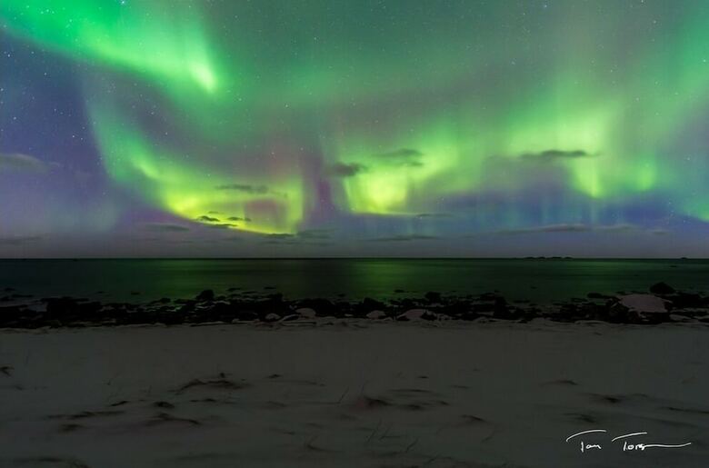 Lofoten V�r�y Brygge