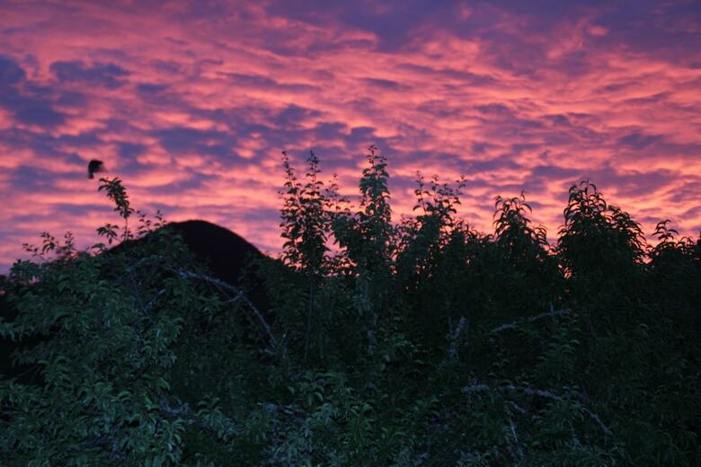 Off The Beaten Track Accommodation