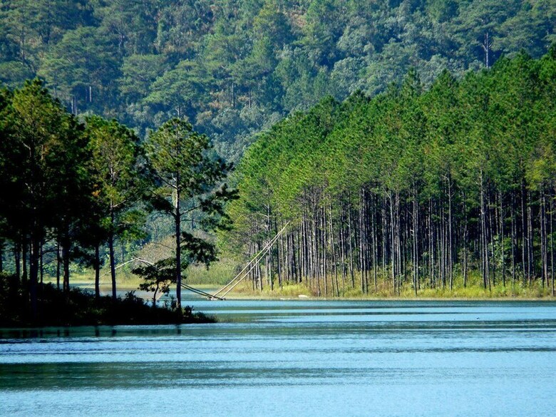 Hotel Romeo Juliet Dalat Resort