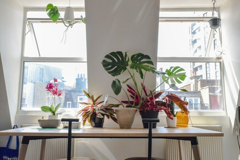 Apartamentos Bright And Spacious 1 Bedroom Loft In Dalston