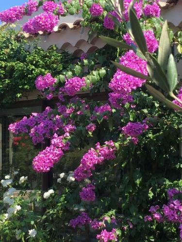 Bed & Breakfast Le Clos Martin