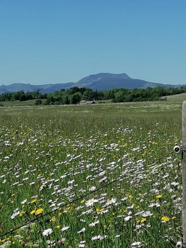 Bed & Breakfast G�te La Vigne