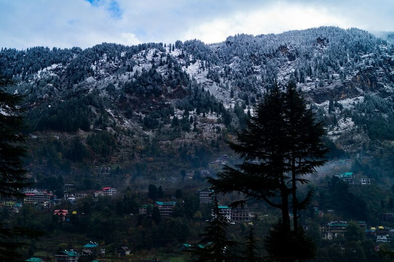 Hotel Alt Life Manali