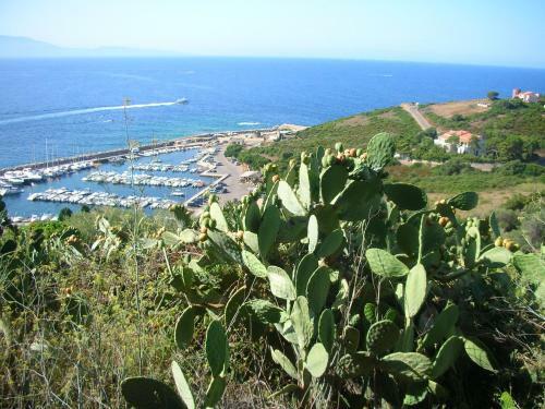Apartamentos Residence Ma�na