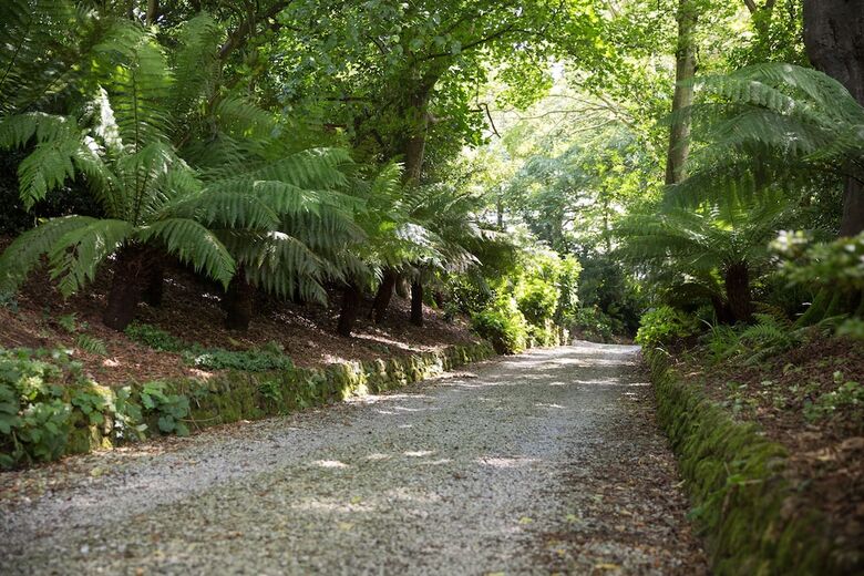 Bed & Breakfast The Old Vicarage - Gwennap