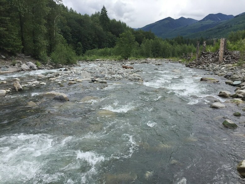 Mt. Baker Lodging Cabin 16 ? Hot Tub, Pets, Sleeps 4! By Mbl