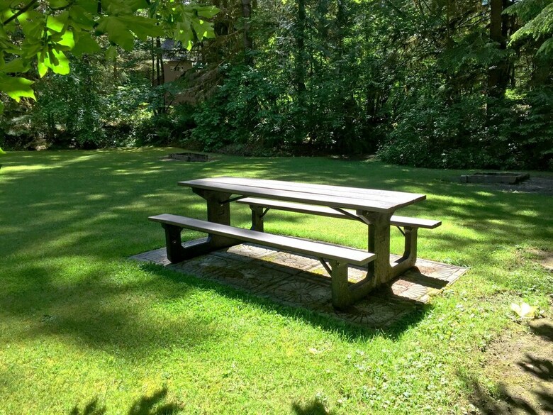 Mt. Baker Lodging Condo 41 ? Sauna, Wifi, Sleeps 8! By Mbl
