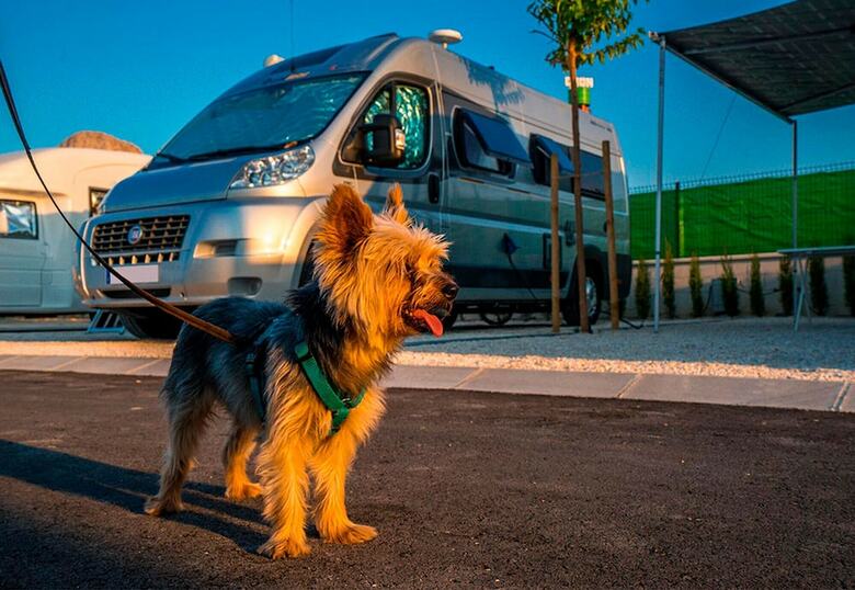 Camping Sol De Calpe Austral - Caravan Park