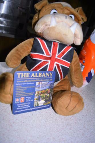 Bed & Breakfast The Albany Hotel
