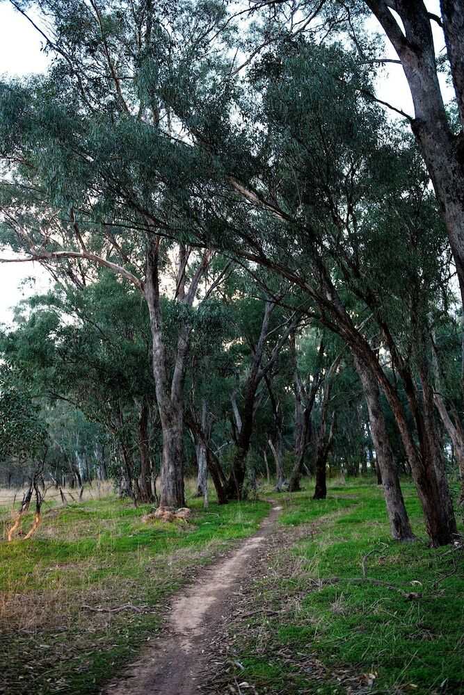 Apartamentos Byronsvale Vineyard And Accommodation