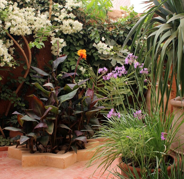 Hotel Tifawin Home & Garden