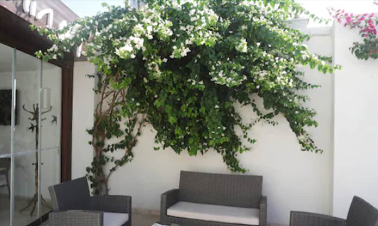 Asmin Hotel Bodrum