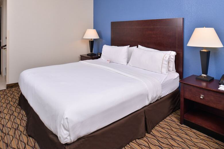 Hotel Holiday Inn Express Omaha West - 90th Street