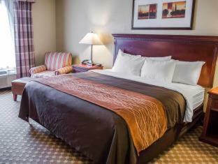Hotel Comfort Inn & Suites Mobile Near Eastern Shore Centre