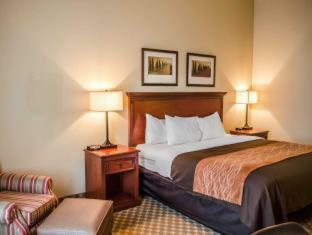 Hotel Comfort Inn & Suites Mobile Near Eastern Shore Centre