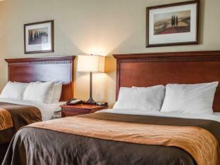 Hotel Comfort Inn & Suites Mobile Near Eastern Shore Centre