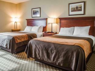 Hotel Comfort Inn & Suites Mobile Near Eastern Shore Centre