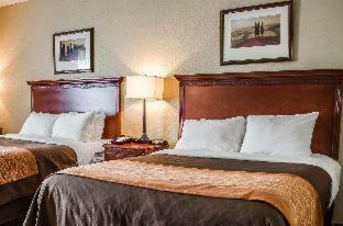 Hotel Comfort Inn & Suites Mobile Near Eastern Shore Centre