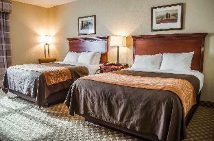 Hotel Comfort Inn & Suites Mobile Near Eastern Shore Centre