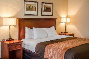 Hotel Comfort Inn & Suites Mobile Near Eastern Shore Centre