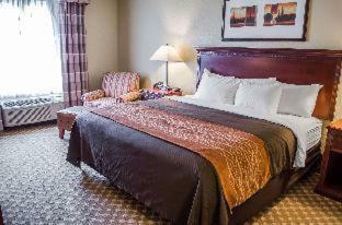Hotel Comfort Inn & Suites Mobile Near Eastern Shore Centre