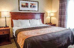 Hotel Comfort Inn & Suites Mobile Near Eastern Shore Centre