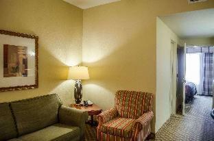 Hotel Comfort Inn & Suites Mobile Near Eastern Shore Centre