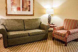 Hotel Comfort Inn & Suites Mobile Near Eastern Shore Centre