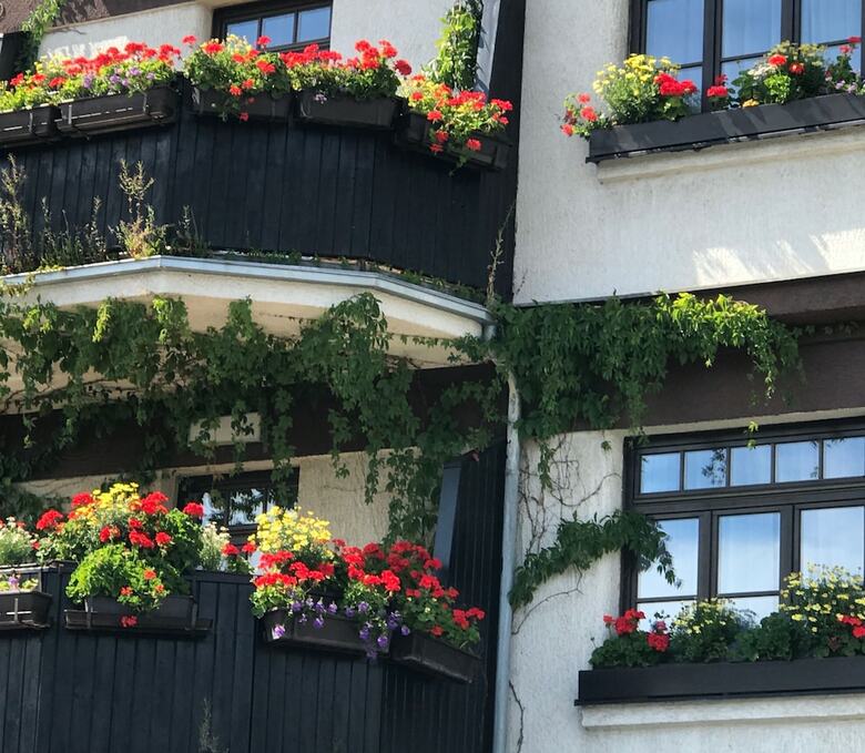Antik Hotel Sofia Litomysl