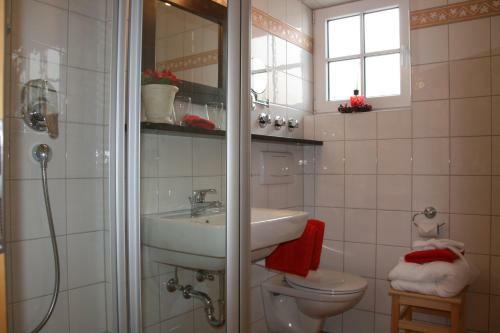 Apartamento G�stehaus Alpin