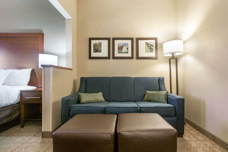 Hotel Comfort Suites Lexington