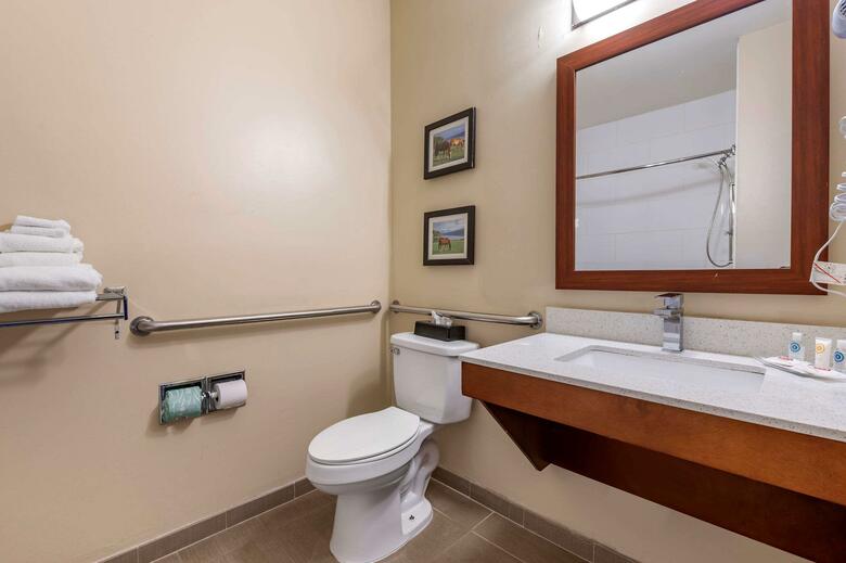 Hotel Comfort Suites Lexington