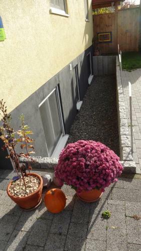 Apartamento Ferienwohnung Tischler