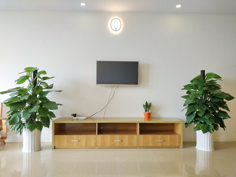 Apartamentos Pooh Homestay