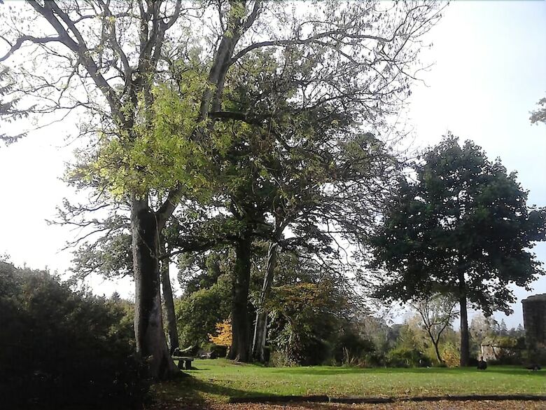Domaine de La Haye D'ir�e