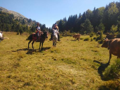 Agroturismo Farm Sotira