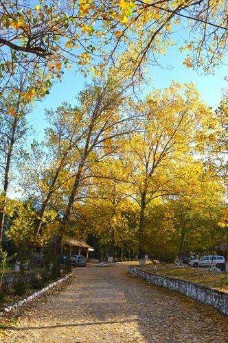 Agroturismo Farm Sotira