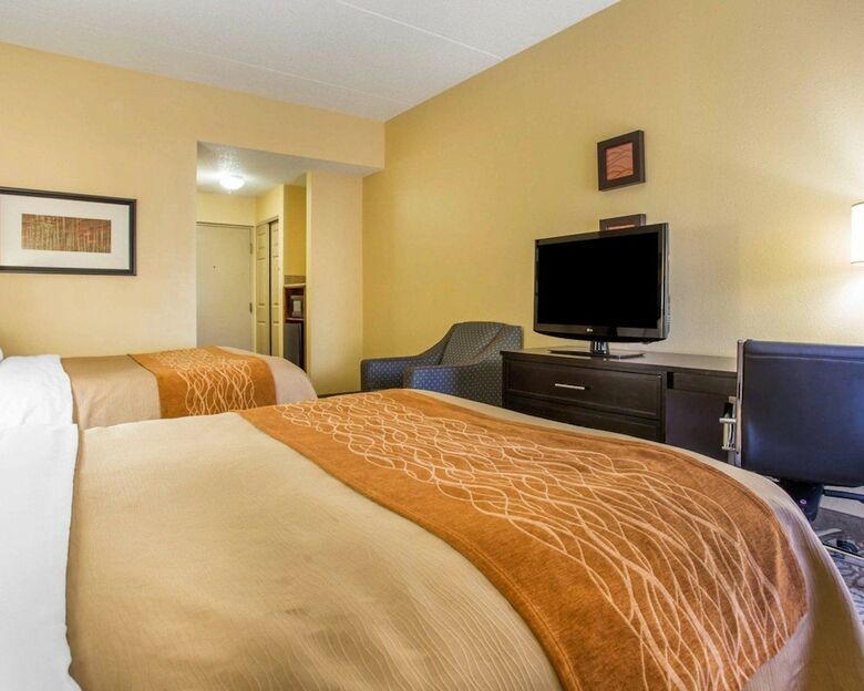 Hotel Comfort Inn & Suites At Stone Mountain